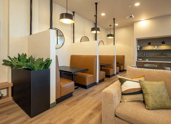 A modern room with a couch, chairs, and a potted plant.