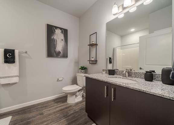 A bathroom with a toilet, sink, and a picture of a horse on the wall.