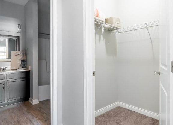 a bathroom with a closet and a sink and a mirror