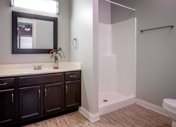 a bathroom with a sink and a shower and a mirror
