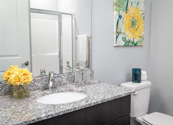 a bathroom with a granite counter top and a mirror