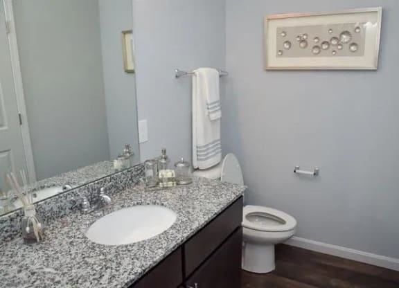 a bathroom with a sink and a toilet
