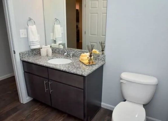 a bathroom with a toilet and a sink and a mirror