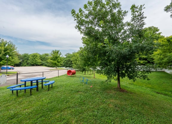 a park with a picnic table and a tree