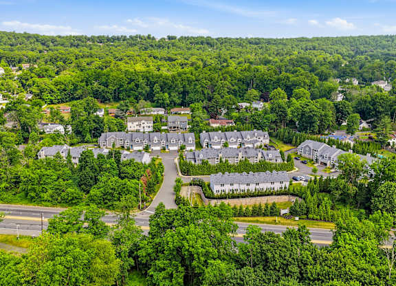 A bird's eye view of a residential area surrounded by dense greenery.