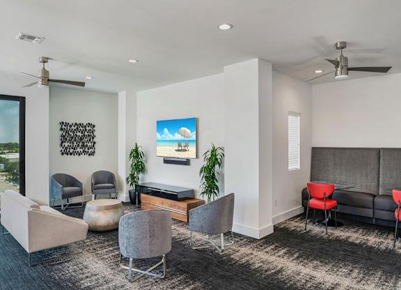 a living room with a couch and chairs and a tv at Elements on Third Apartments, St. Petersburg, FL, 33713