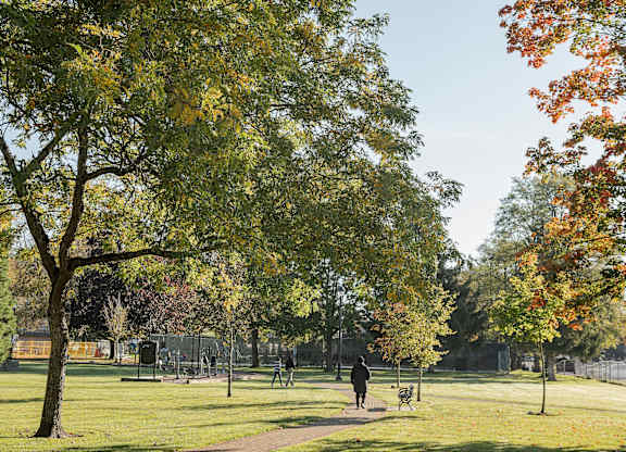 A person is walking on a path in a park with trees on either side.