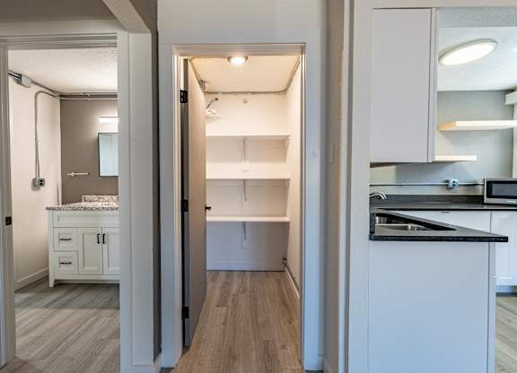 Modern Apartment Kitchen