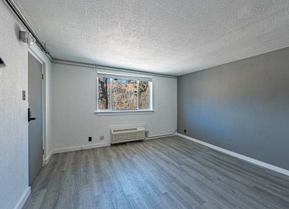 Cozy Studio Interior