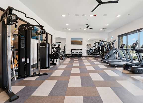 A gym with a variety of equipment including treadmills, stationary bikes, and weight machines.