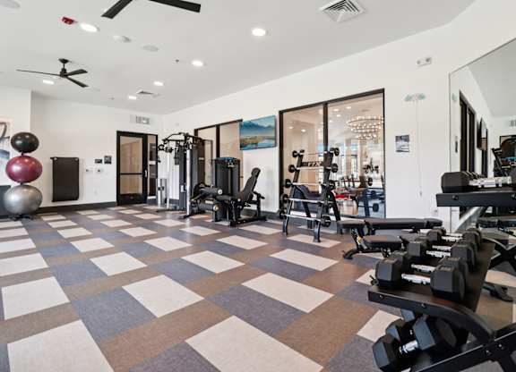 A gym with a variety of equipment including a squat rack, dumbbells, and a bench press.
