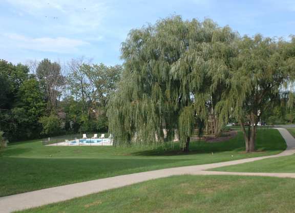 Beautiful Grounds