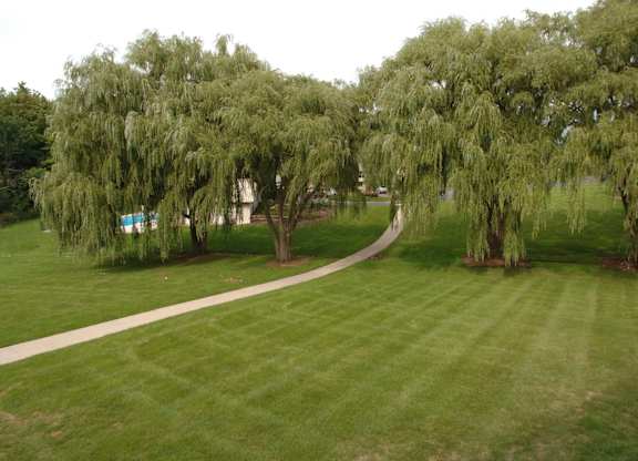 Outdoor Space