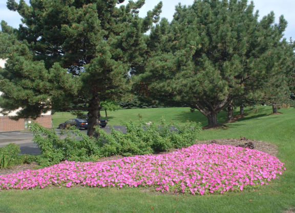 Beautiful Grounds