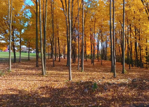 Beautiful Grounds