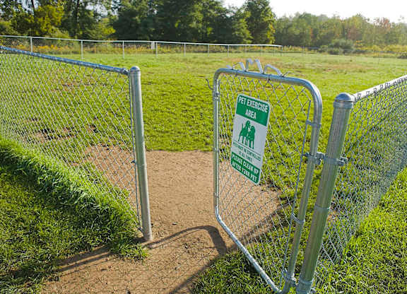 Bark Park
