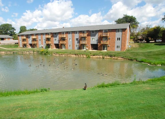 Duck Pond