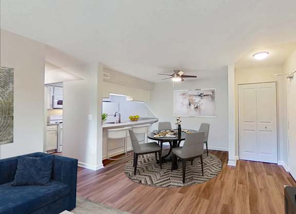 Apartment Interior