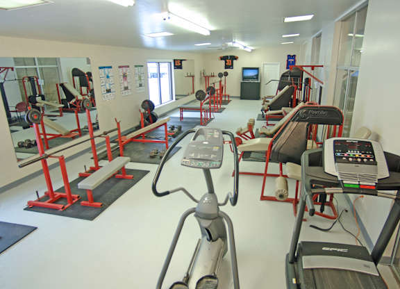 A gym with treadmills, exercise bikes, and other equipment.