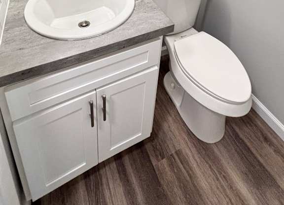 A white toilet sits next to a sink in a bathroom.