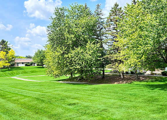 A green lawn with trees and a house in the background.