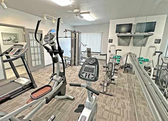 A gym with treadmills, exercise bikes, and other equipment.
