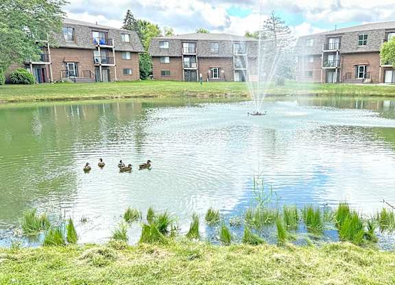 A fountain in the middle of a pond with ducks swimming in it.