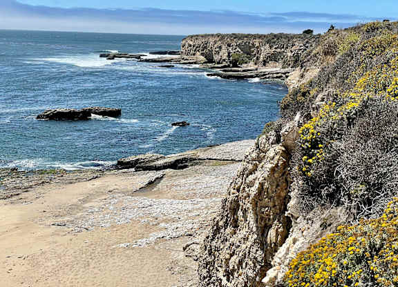 Natural Bridges Marine Reserve at Westmont Place Townhomes Apartments, Santa Cruz, CA, 95060