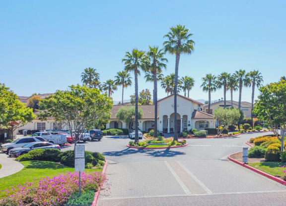 Street at Palm Court Apartments, Salinas, 93906