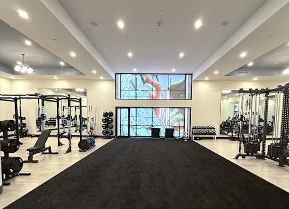 A gym with a variety of equipment and a large screen on the wall.