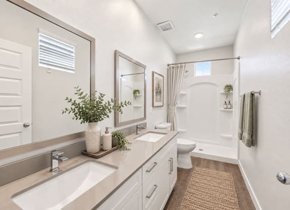 A bathroom with a sink, mirror, toilet, and a rug on the floor.
