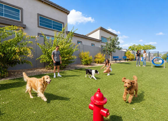 A man is standing in a yard with three dogs.