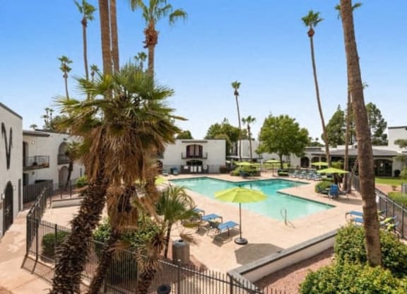 a swimming pool is surrounded by palm trees at Vertu, Phoenix, Arizona