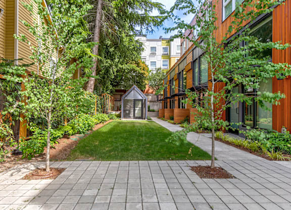 A small tree is in a planter in the middle of a courtyard.