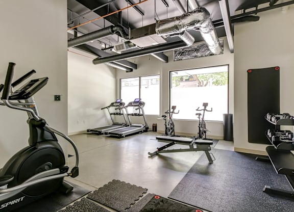 A gym with a treadmill, elliptical machines and a rowing machine.