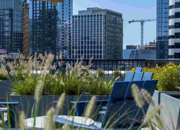 the roof terrace with city buildings in the background