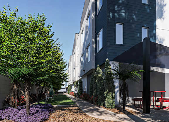 A tree with purple flowers in front of a building.