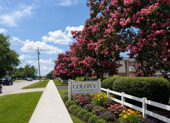 A white fence with a sign that says Colony in front of a flowering tree.