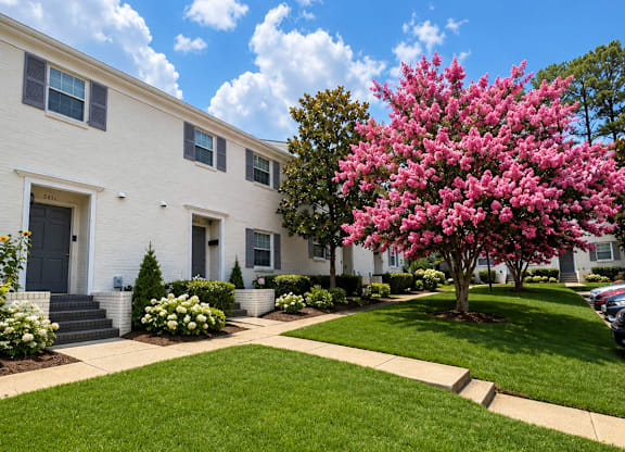 A white house with a pink flowering tree in front.