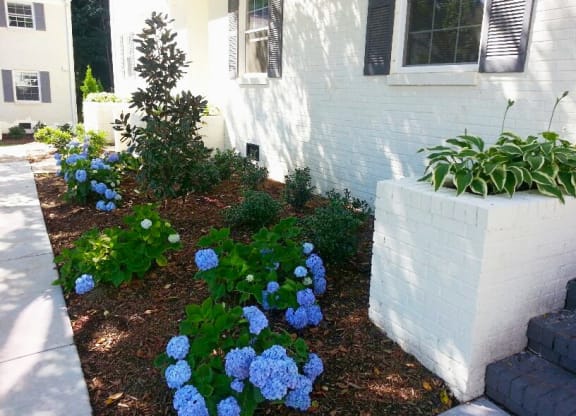 Garden Area at Midtown Park Townhomes, Raleigh, NC, 27609