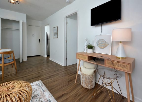 Living Room TV at Capital Flats & Magnolia Square Apartments, Raleigh, NC
