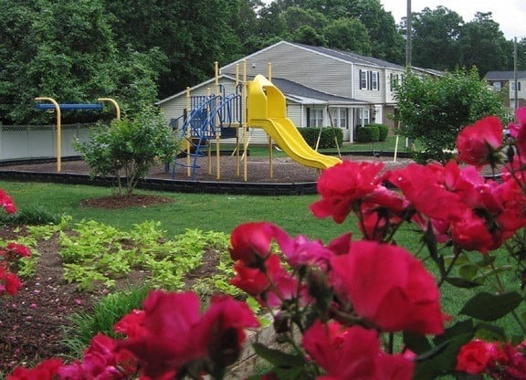 Garden Area at Colony Townhomes, Raleigh, 27609