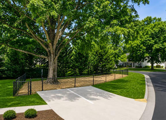 A tree in a park with a fence around it.