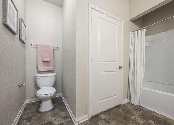 Bathroom with Shower Curtain at Spring Creek Apartments, Florida