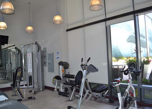 A gym with a variety of exercise equipment including treadmills, stationary bikes, and weight machines.