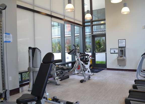 A gym with treadmills, weights, and exercise machines.