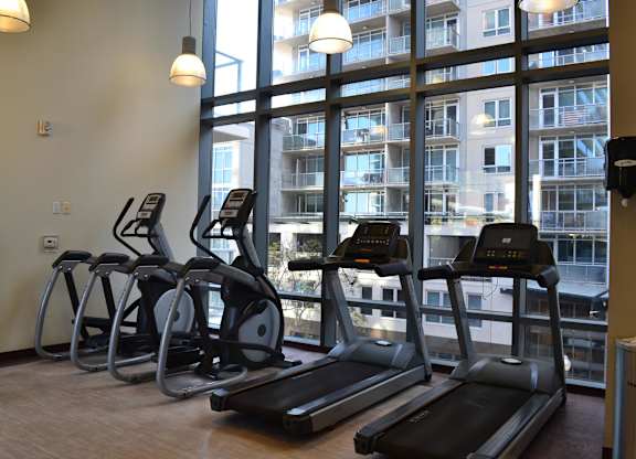 A gym with treadmills and elliptical machines.
