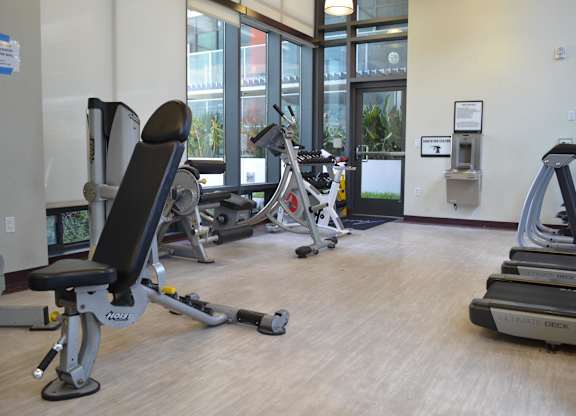 A gym with treadmills and exercise equipment.