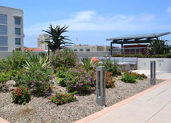 A garden with a variety of plants and a metal post.