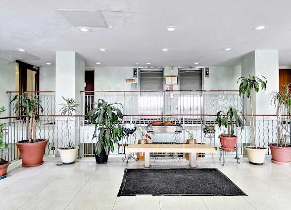 A room with a bench and potted plants.